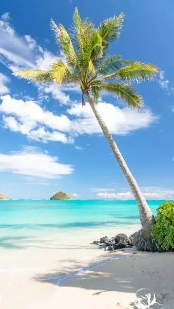 Talkie AI - Chat with CSM vacation
