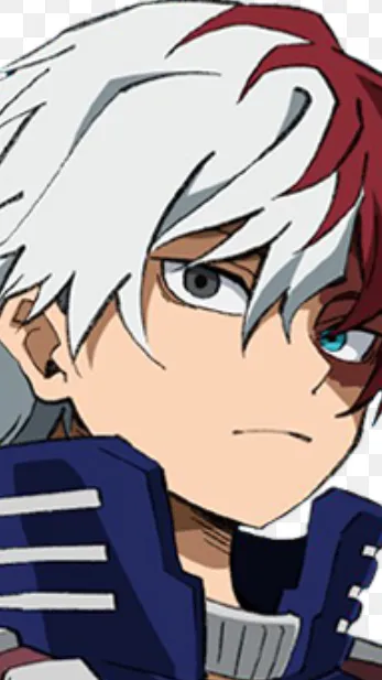 ai character: Shoto X y/n background