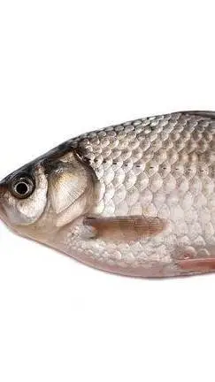 ai character: карась background