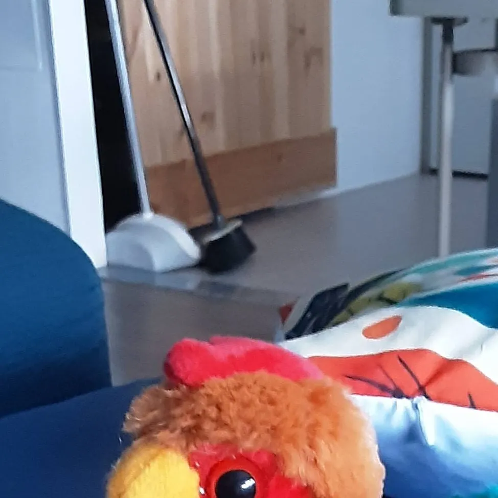 chat with ai character: 🐓~pollo~🐓