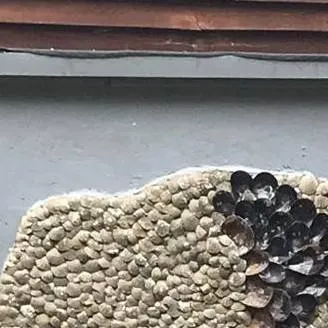 chat with ai character: witch hazel 