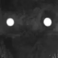 chat with ai character: Blood death Godzil