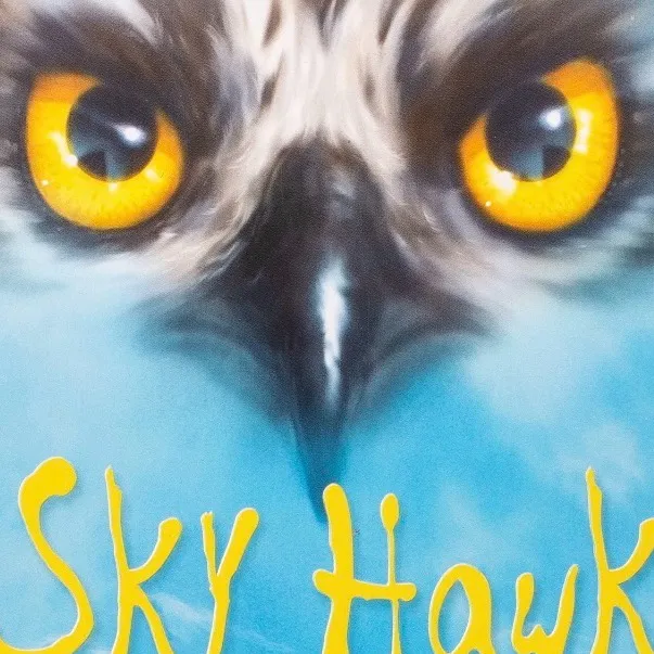 chat with ai character: SKY HAWK