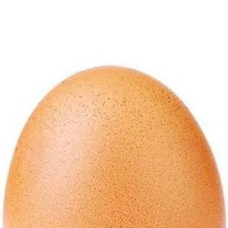 chat with ai character: Mr. Egg