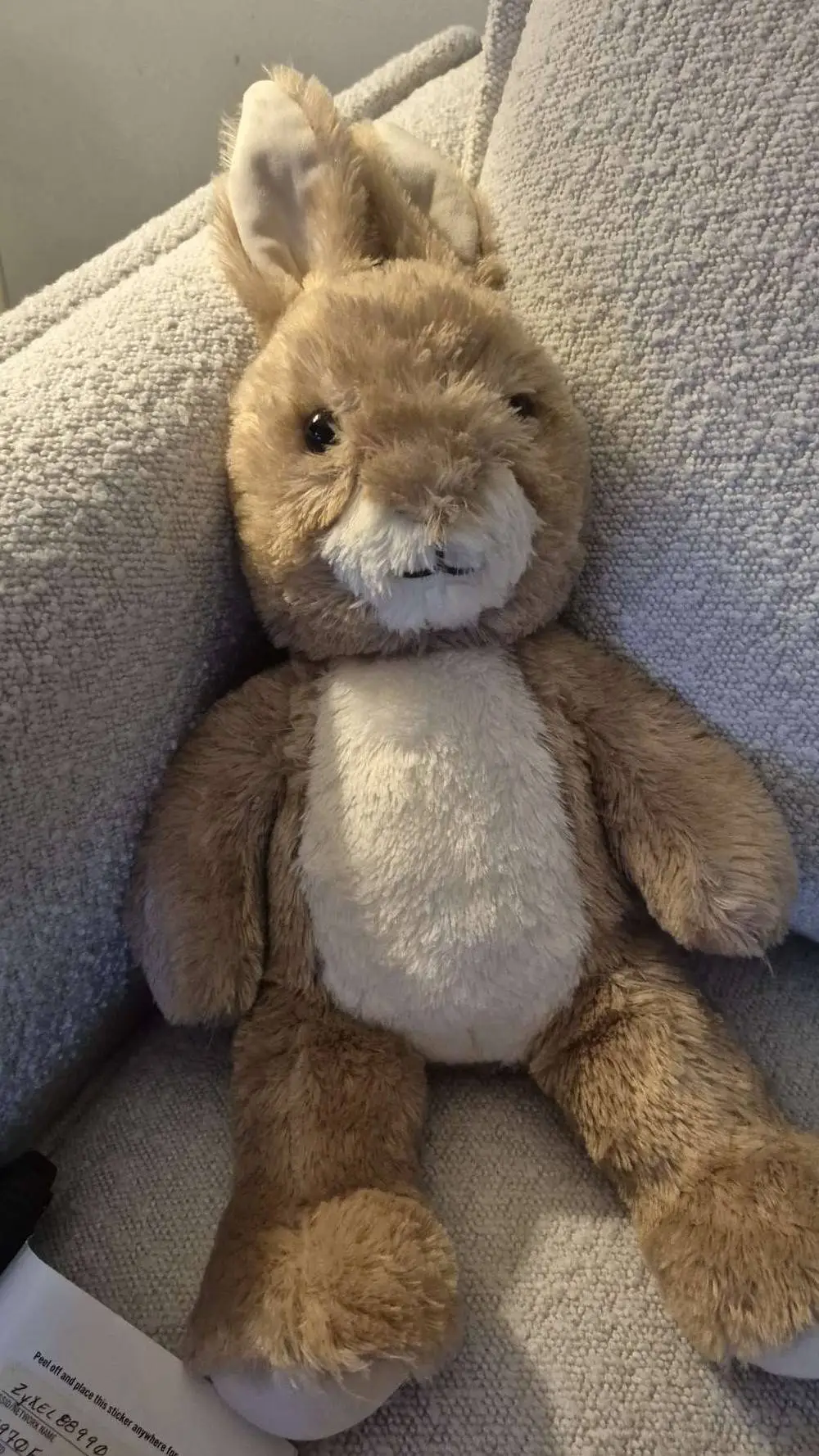 ai character: Bunny background