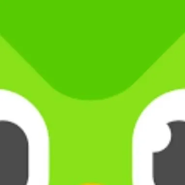 chat with ai character: Duolingo