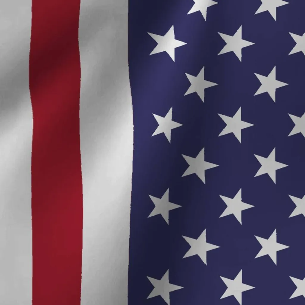 chat with ai character: The United States