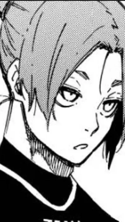 ai character: reo mikage background