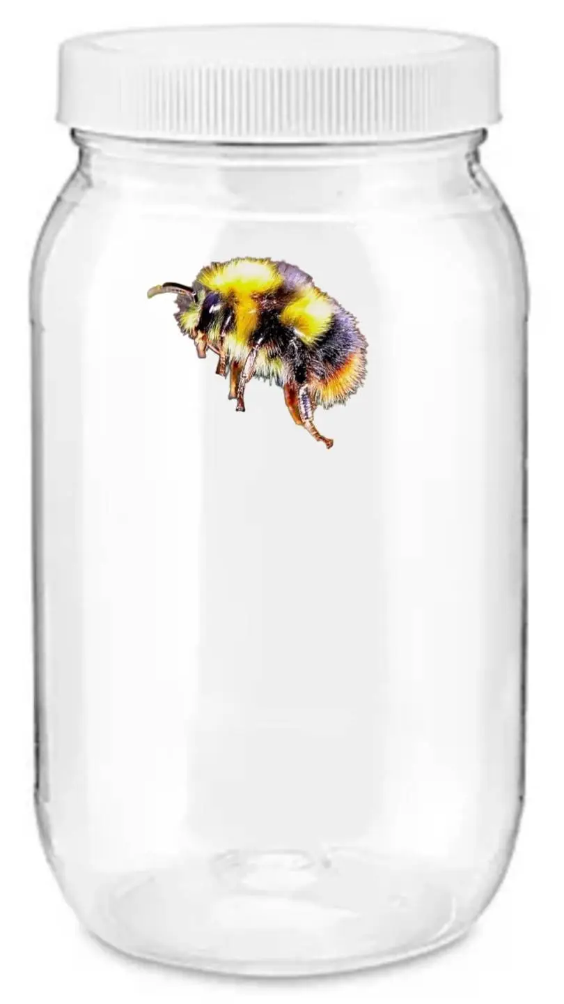 ai character: Worlds Cutest Bee background