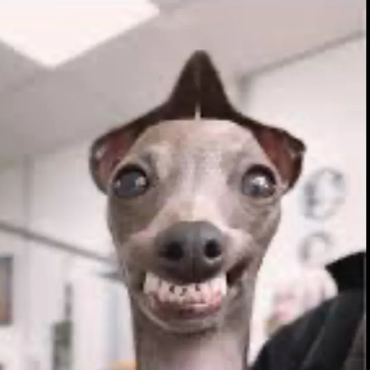 chat with ai character: Jon Jon the dog