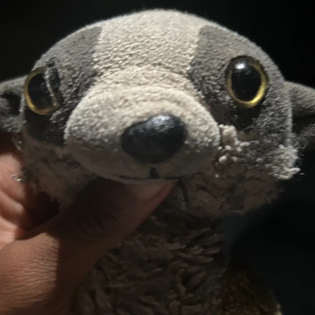 chat with ai character: Zippy