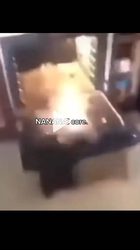 ai character: NANANAÆ background