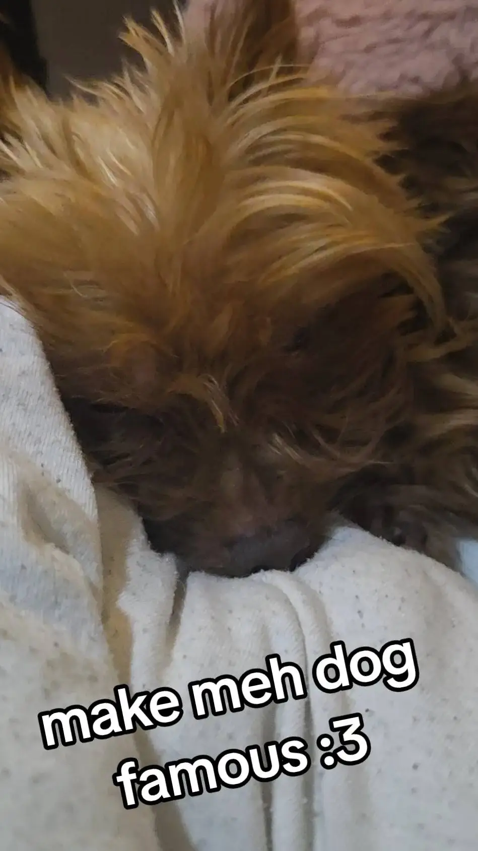 ai character: val background