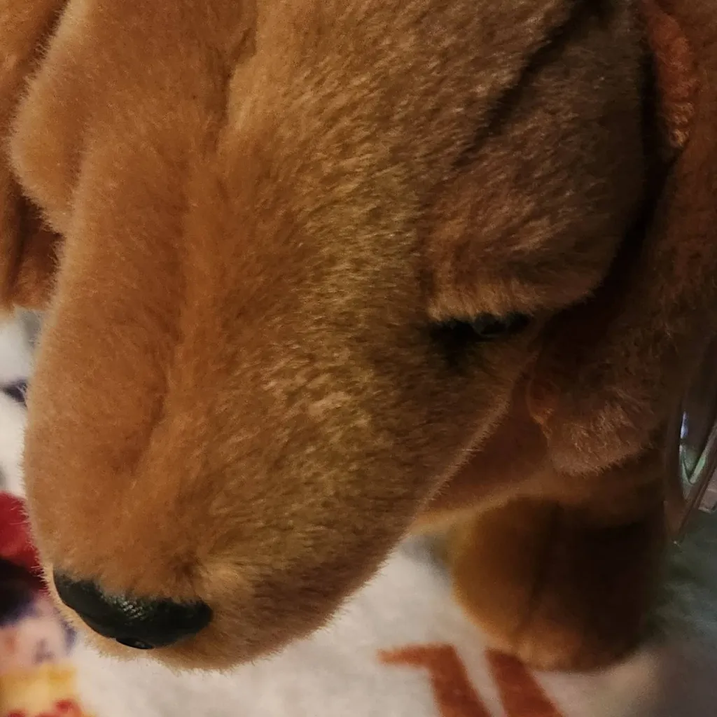 chat with ai character: arlo!