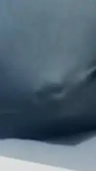 ai character: Jevin Pooped  background