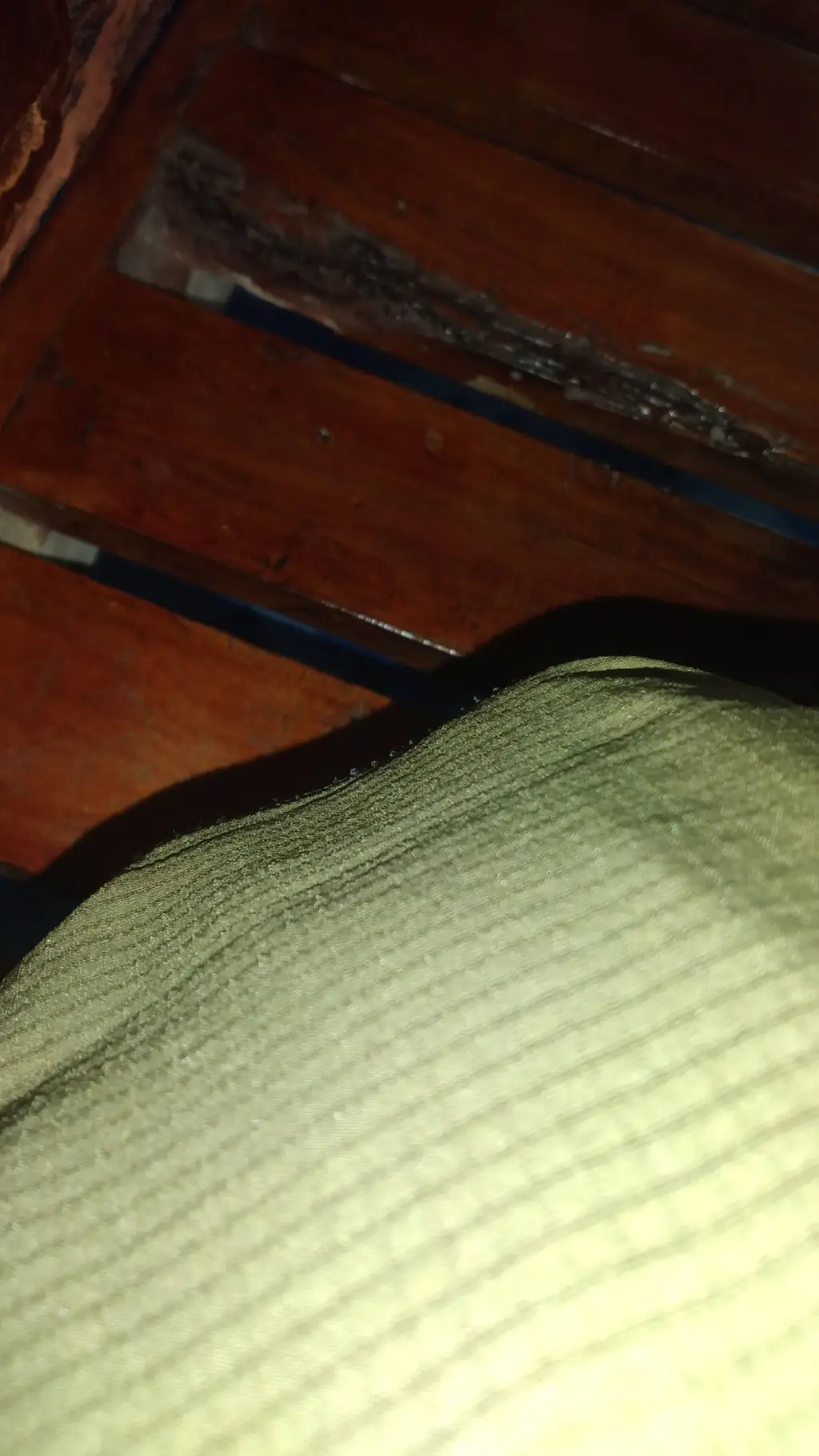 ai character: You shit your pant background