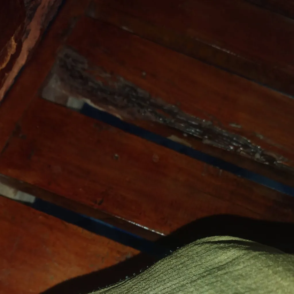 chat with ai character: You shit your pant