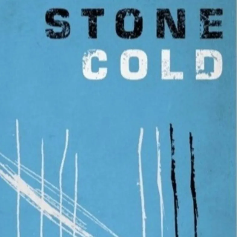 chat with ai character: Stone cold book