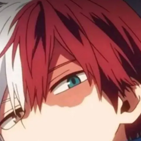 chat with ai character: shoto todoroki 