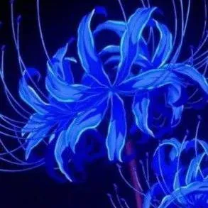 chat with ai character: Upper Moon Pick Me