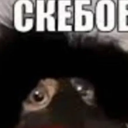 chat with ai character: скебоб