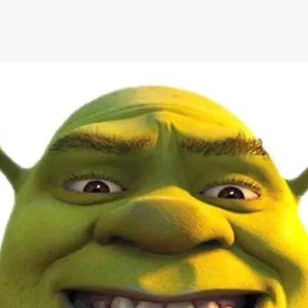chat with ai character: Shrek huevo 