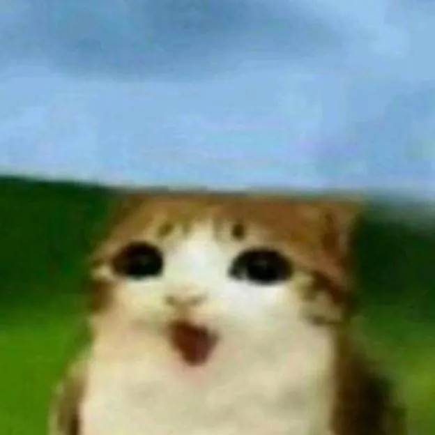 chat with ai character: meowl