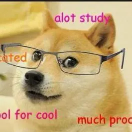 chat with ai character: doge 🥹