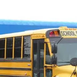 chat with ai character: 2015 Tommy C2