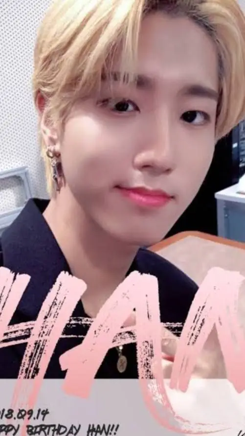 ai character: Han jisung background