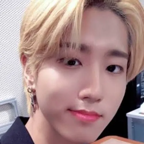 chat with ai character: Han jisung