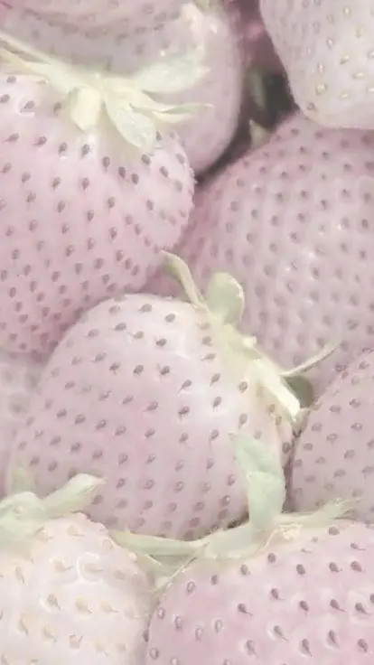 ai character: pinky(matty)<3 background