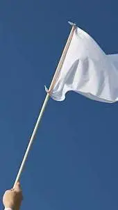 ai character: fin de pelea color background