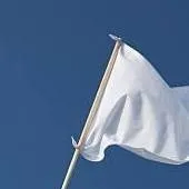 chat with ai character: fin de pelea color