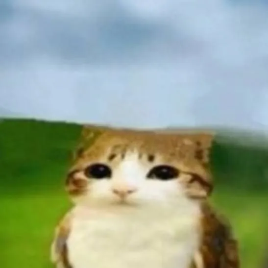 chat with ai character: Meowl