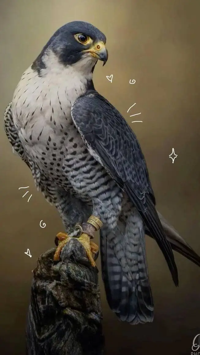 ai character: sky background