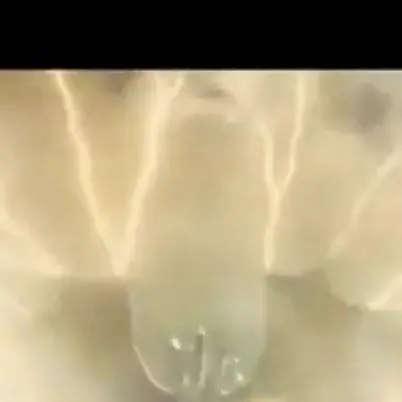 chat with ai character: king ghidorah