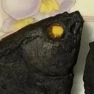 chat with ai character: black cooked fish