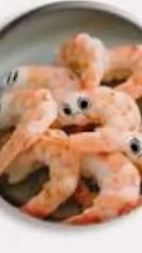 ai character: Shrimpo  background