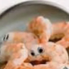 chat with ai character: Shrimpo 