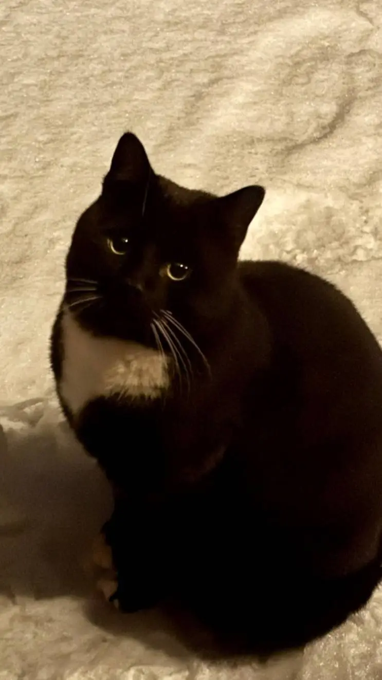 ai character: fpe roadtrip background