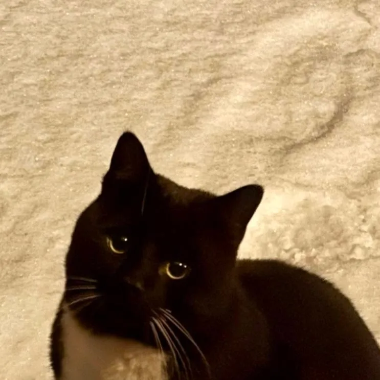 chat with ai character: fpe roadtrip