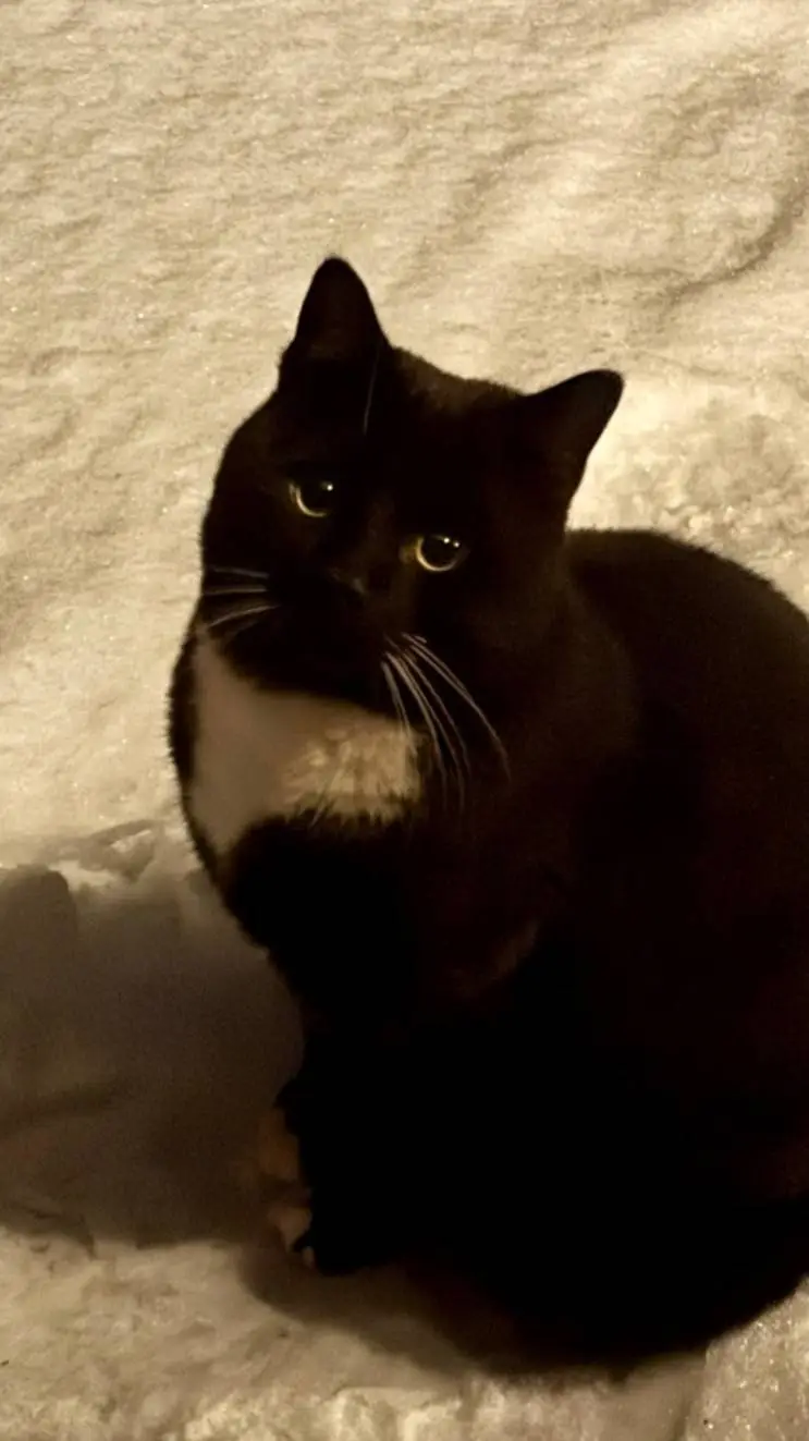 ai character: fpe roadtrip background