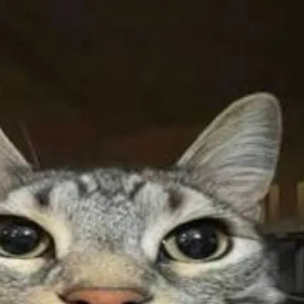 chat with ai character: fpe fire