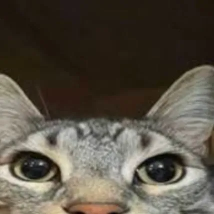 chat with ai character: sc sleepover