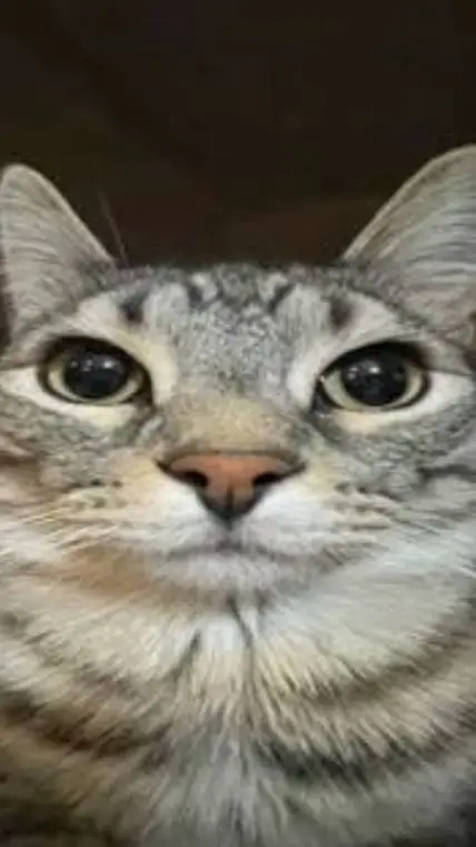 ai character: tbb hotel background