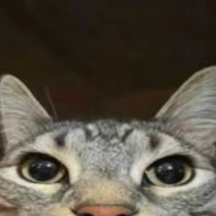 chat with ai character: tbb hotel