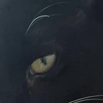 chat with ai character: forsaken au?