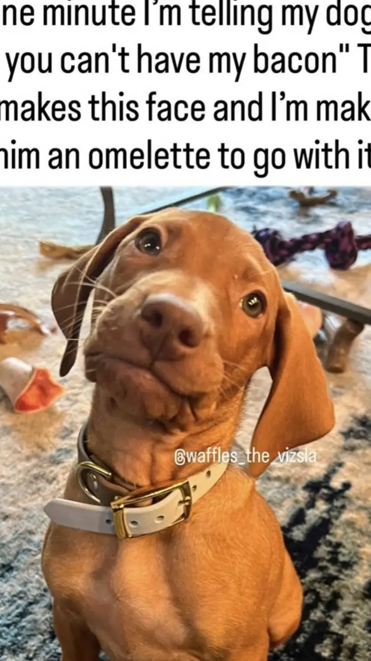 ai character: forsaken background