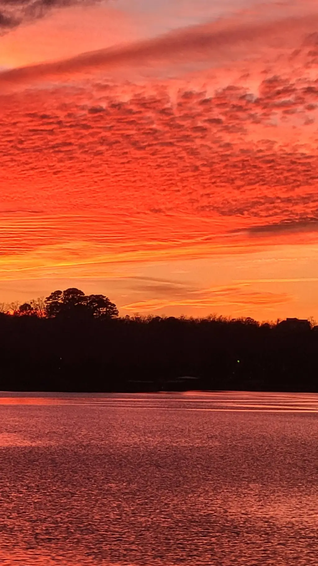 ai character: Liora background